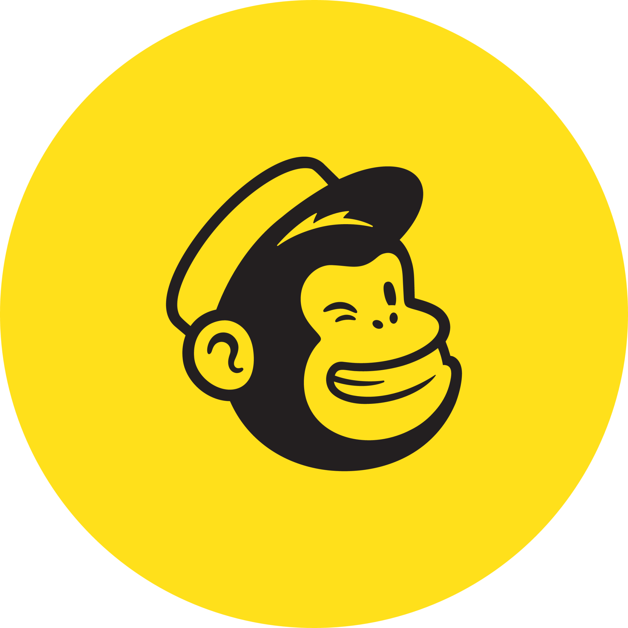 Mail Chimp Icon